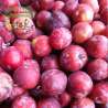 Ciruelas Rojas (variedad larrian carne amarilla)