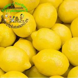 Limones