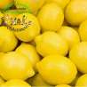 Limones