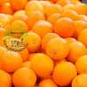 Naranjas de zumo