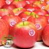 Manzana Pink Lady