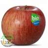 Manzana Marlene Fuji