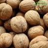 Nueces nacionales