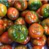 Tomates Raff ( dulces)