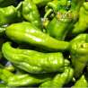 Pimientos Italianos