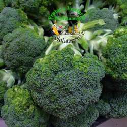 Brocoli