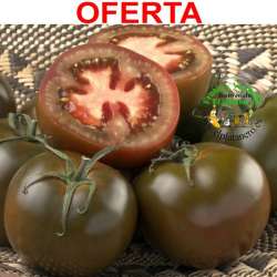 Tomates raff  kumato