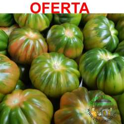 Tomates Mucha Miel