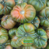 Tomates Raff ( dulces)